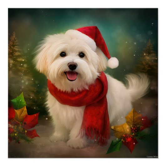 Coton De Tulear Dog in Schnee Weihnachten Poster (Vorderseite)