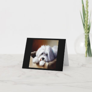 Coton de Tulear Dog Karte