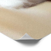 Coton de Tulear Dog Poster (Ecke)