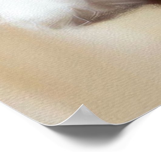 Coton de Tulear Dog Poster (Ecke)