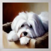 Coton de Tulear Dog Poster (Vorne)