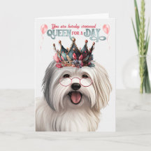 Coton de Tulear Dog Queen für den Tag Funny Birthd