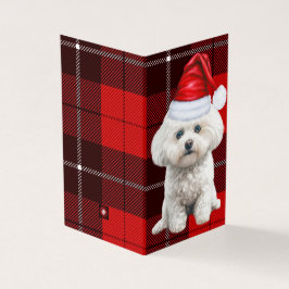 Coton de Tulear Dog Red Holiday Weihnachten Karier