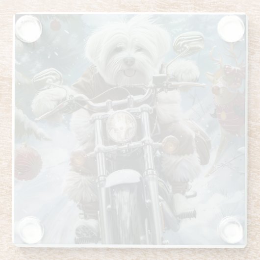 Coton De Tulear Dog Riding Motorrad Weihnachten Glasuntersetzer (Rückseite)