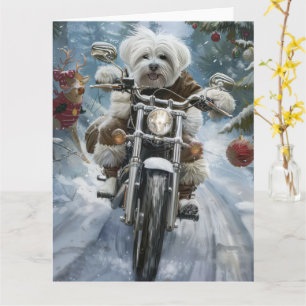 Coton De Tulear Dog Riding Motorrad Weihnachten Karte