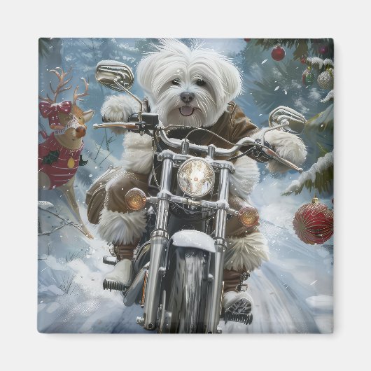 Coton De Tulear Dog Riding Motorrad Weihnachten Magnet (Vorne)