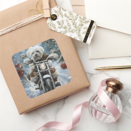 Coton De Tulear Dog Riding Motorrad Weihnachten Quadratischer Aufkleber (Schenken)