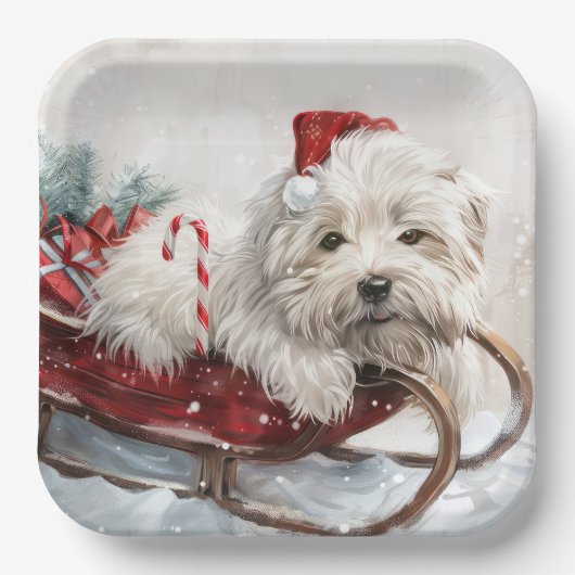 Coton De Tulear Dog Weihnachtsfest Pappteller (Vorderseite)