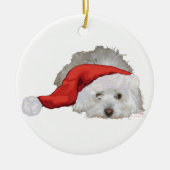 Coton de Tulear - Gewartet Keramik Ornament (Vorne)