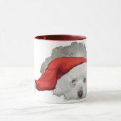 Coton de Tulear - Gewartet Tasse (Zentrum)