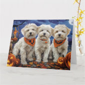 Coton De Tulear Halloween Spooky Karte (Gelbe Blume)
