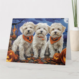 Coton De Tulear Halloween Spooky Karte
