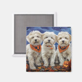 Coton De Tulear Halloween Spooky Magnet (Vorderseite/Rückseite)