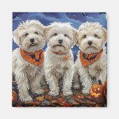 Coton De Tulear Halloween Spooky Magnet (Vorne)