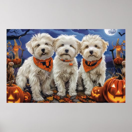 Coton De Tulear Halloween Spooky Poster (Vorne)