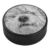Coton de Tulear Hund Eishockey Puck (3/4)