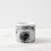Coton de Tulear Hund Espressotasse (Vorderseite)