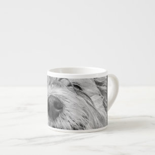 Coton de Tulear Hund Espressotasse