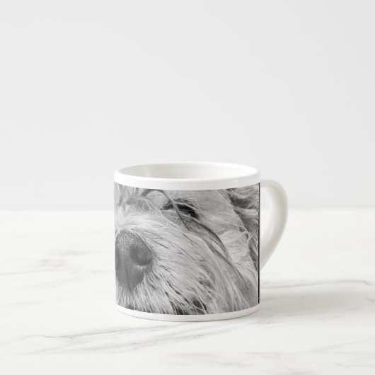Coton de Tulear Hund Espressotasse (Vorderseite Rechts)