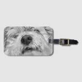 Coton de Tulear Hund Gepäckanhänger (Vorderseite (Horizontal))