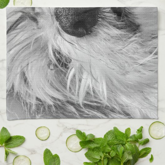 Coton de Tulear Hund Geschirrtuch (Gefaltet)