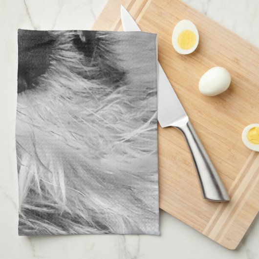 Coton de Tulear Hund Geschirrtuch (Viertel Falte)