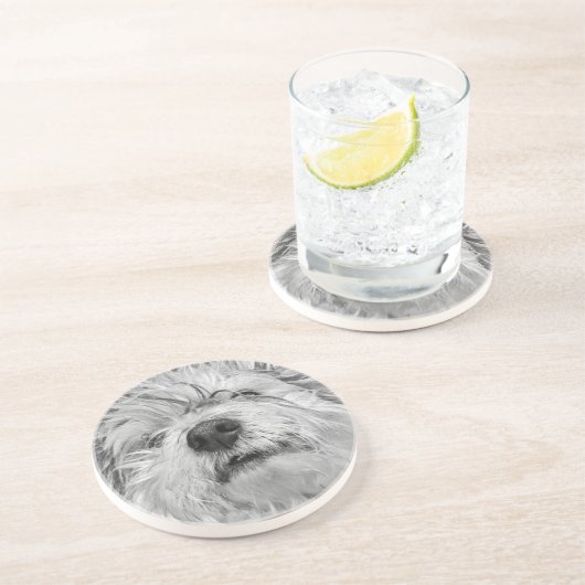 Coton de Tulear Hund Getränkeuntersetzer (Seite)