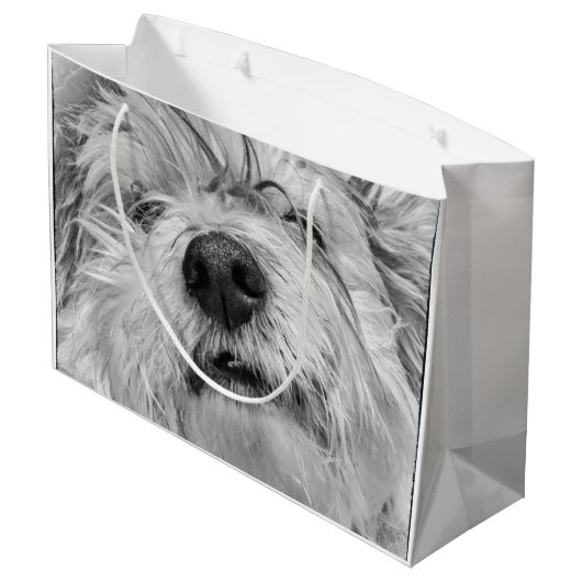 Coton de Tulear Hund Große Geschenktüte (Rückseite Schrägansicht)