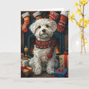 Coton De Tulear Hund mit Weihnachtsgeschenken Kami Karte