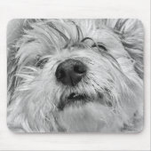 Coton de Tulear Hund Mousepad (Vorne)