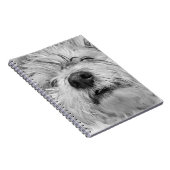 Coton de Tulear Hund Notizblock (Rechte Seite)
