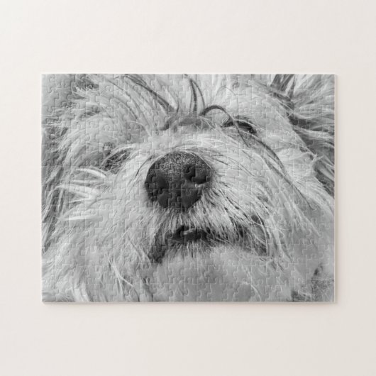 Coton de Tulear Hund Puzzle (Horizontal)