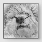 Coton de Tulear Hund Quadratische Wanduhr (Vorderseite)