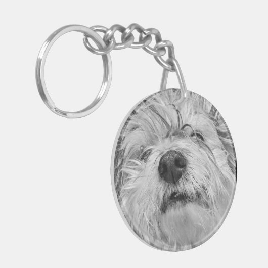 Coton de Tulear Hund Schlüsselanhänger (Vorderseite links)
