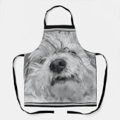 Coton de Tulear Hund Schürze (Vorderseite)