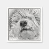 Coton de Tulear Hund Serviette (Vorderseite)