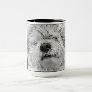 Coton de Tulear Hund Tasse