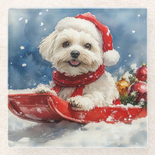 Coton De Tulear in Sledge Let it Snow Christmas Glasuntersetzer (Vorderseite)