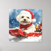 Coton De Tulear in Sledge Let it Snow Christmas Leinwanddruck (Vorderseite)