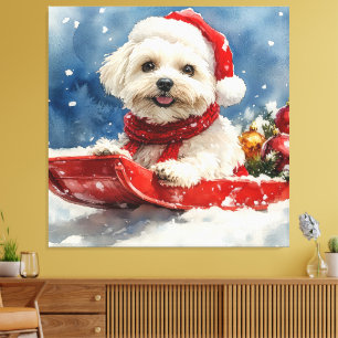 Coton De Tulear in Sledge Let it Snow Christmas Leinwanddruck