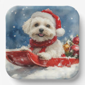 Coton De Tulear in Sledge Let it Snow Christmas Pappteller (Vorderseite)