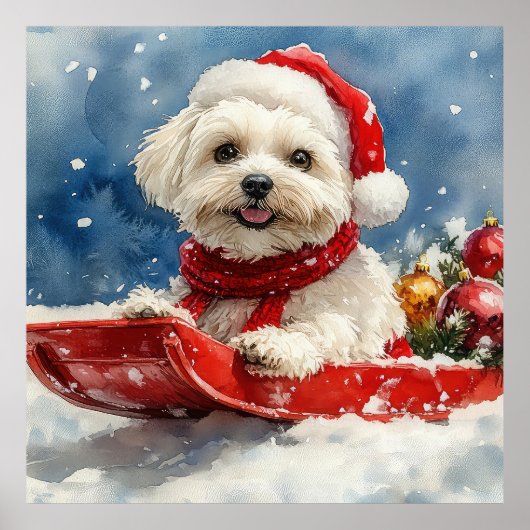 Coton De Tulear in Sledge Let it Snow Christmas Poster (Vorne)
