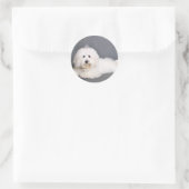 Coton de Tulear - Joci Runder Aufkleber (Tasche)