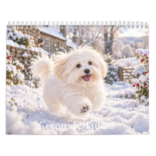 Coton de Tulear Kalender