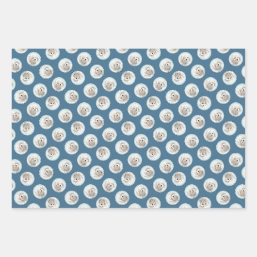 Coton de Tulear Malerei Niedlich Original Haustier Geschenkpapier Set (Vorderseite 3)