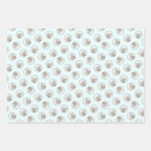 Coton de Tulear Malerei Niedlich Original Haustier Geschenkpapier Set (Vorderseite)