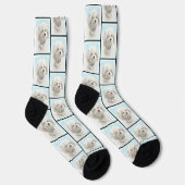 Coton de Tulear Malerei Niedlich Original Haustier Socken (Rechts)