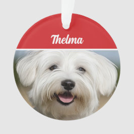 Coton de Tulear Name Foto Weihnachten Ornament