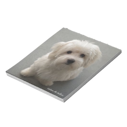 Coton de Tulear Notizblock (Rotiert)