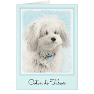 Coton de Tulear Painting - Niedliche Original Dog 